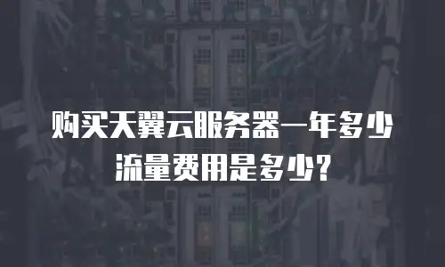 购买天翼云服务器一年多少流量费用是多少？