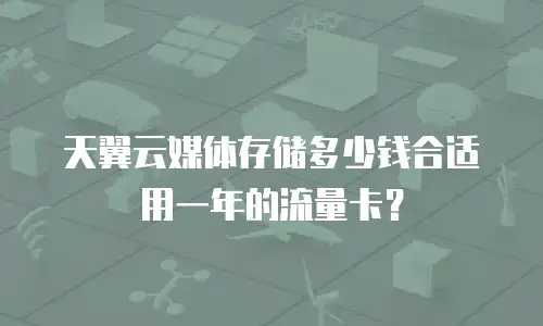 天翼云媒体存储多少钱合适用一年的流量卡？