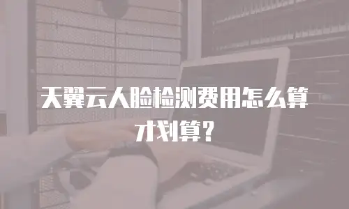 天翼云人脸检测费用怎么算才划算？