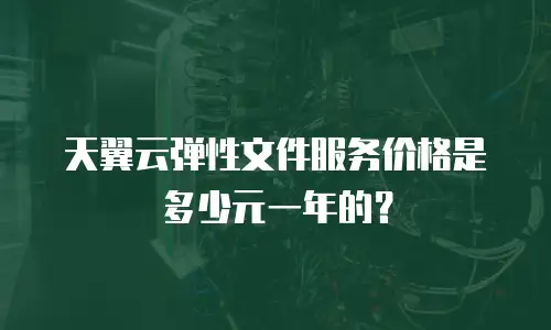 天翼云弹性文件服务价格是多少元一年的？