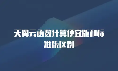 天翼云函数计算便宜版和标准版区别