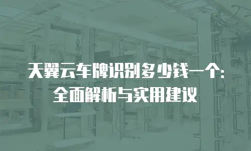 天翼云车牌识别多少钱一个：全面解析与实用建议