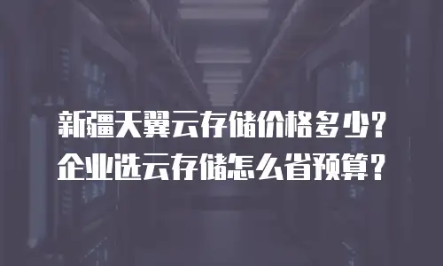 新疆天翼云存储价格多少？企业选云存储怎么省预算？