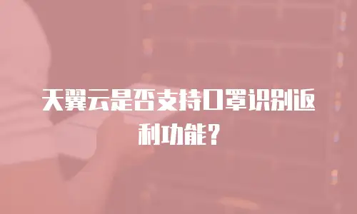 天翼云是否支持口罩识别返利功能？