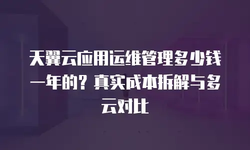 天翼云应用运维管理多少钱一年的？真实成本拆解与多云对比