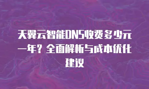 天翼云智能DNS收费多少元一年？全面解析与成本优化建议