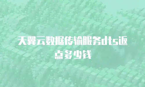 天翼云数据传输服务dts返点多少钱
