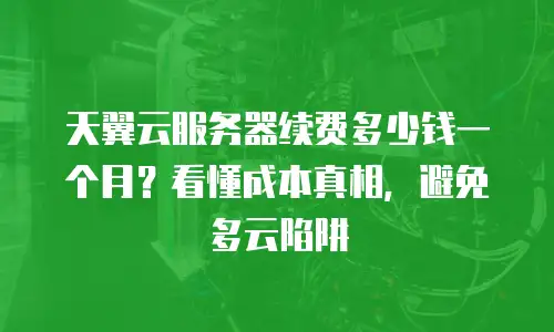 天翼云服务器续费多少钱一个月？看懂成本真相，避免多云陷阱