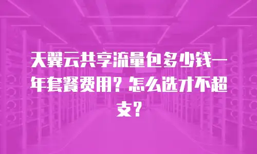 天翼云共享流量包多少钱一年套餐费用？怎么选才不超支？