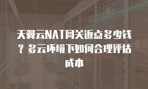 天翼云NAT网关返点多少钱？多云环境下如何合理评估成本
