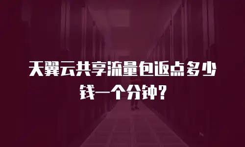 天翼云共享流量包返点多少钱一个分钟？