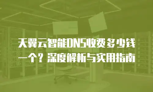 天翼云智能DNS收费多少钱一个？深度解析与实用指南