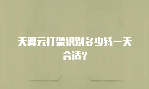 天翼云打架识别多少钱一天合适？