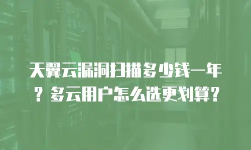 天翼云漏洞扫描多少钱一年？多云用户怎么选更划算？