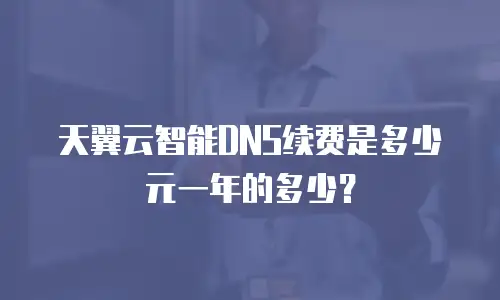 天翼云智能DNS续费是多少元一年的多少？