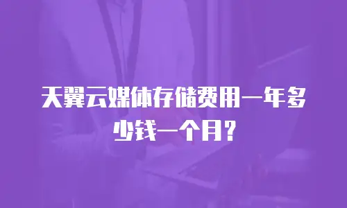 天翼云媒体存储费用一年多少钱一个月？