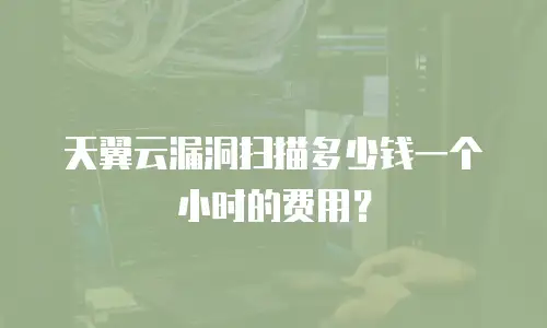 天翼云漏洞扫描多少钱一个小时的费用？