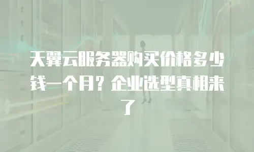 天翼云服务器购买价格多少钱一个月？企业选型真相来了