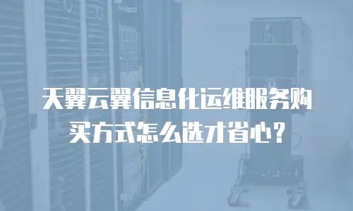 天翼云翼信息化运维服务购买方式怎么选才省心？
