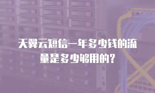 天翼云短信一年多少钱的流量是多少够用的？