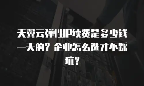天翼云弹性IP续费是多少钱一天的？企业怎么选才不踩坑？