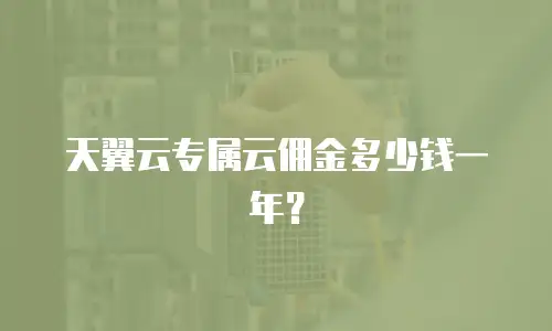 天翼云专属云佣金多少钱一年？