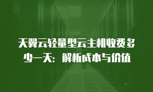 天翼云轻量型云主机收费多少一天：解析成本与价值