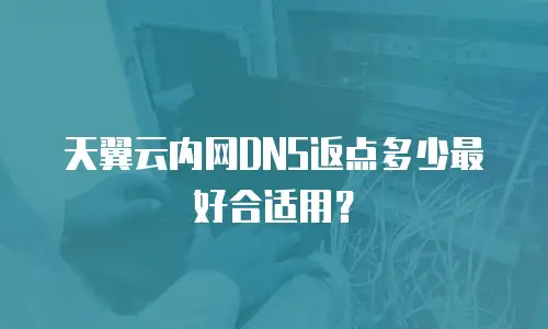 天翼云内网DNS返点多少最好合适用？