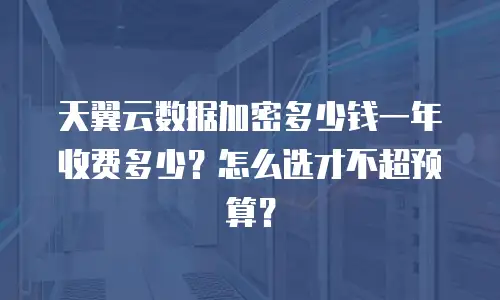 天翼云数据加密多少钱一年收费多少？怎么选才不超预算？