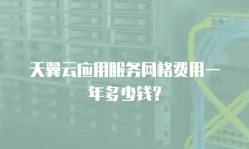 天翼云应用服务网格费用一年多少钱？