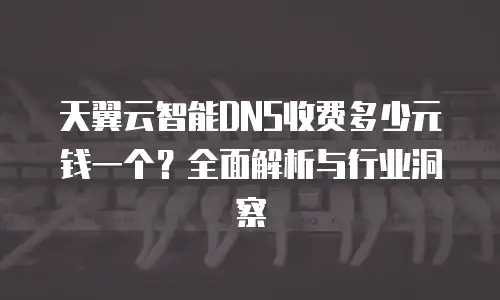 天翼云智能DNS收费多少元钱一个？全面解析与行业洞察