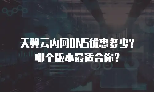 天翼云内网DNS优惠多少？哪个版本最适合你？