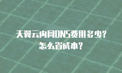 天翼云内网DNS费用多少？怎么省成本？
