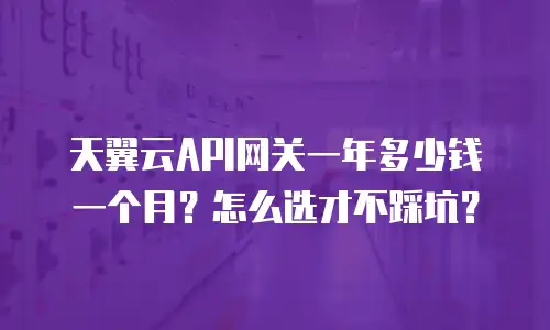 天翼云API网关一年多少钱一个月？怎么选才不踩坑？
