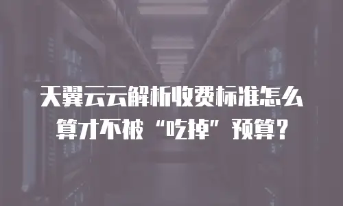 天翼云云解析收费标准怎么算才不被“吃掉”预算？