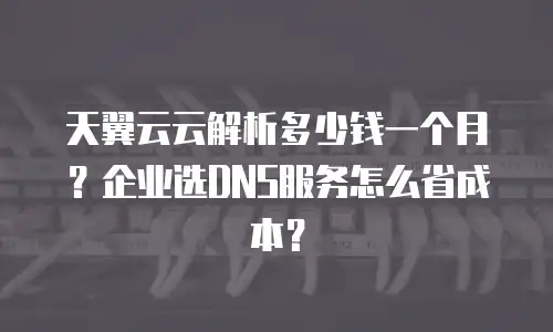 天翼云云解析多少钱一个月？企业选DNS服务怎么省成本？