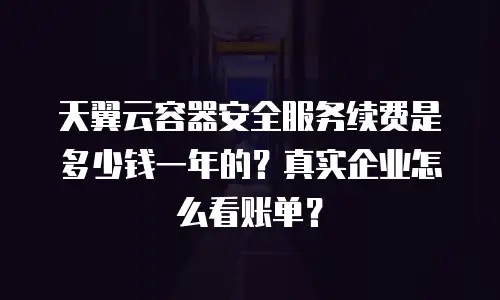 天翼云容器安全服务续费是多少钱一年的？真实企业怎么看账单？