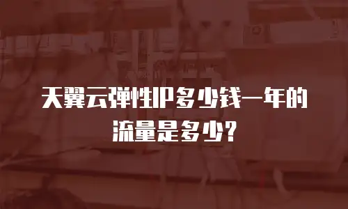 天翼云弹性IP多少钱一年的流量是多少？
