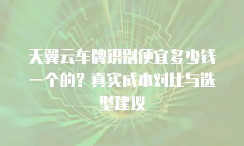 天翼云车牌识别便宜多少钱一个的？真实成本对比与选型建议