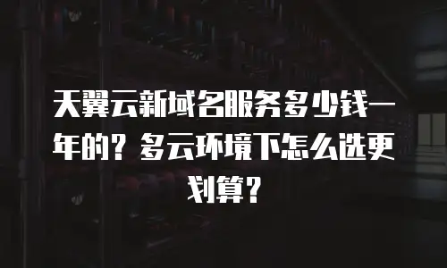 天翼云新域名服务多少钱一年的？多云环境下怎么选更划算？