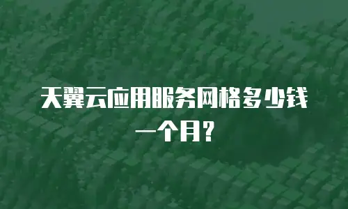 天翼云应用服务网格多少钱一个月？