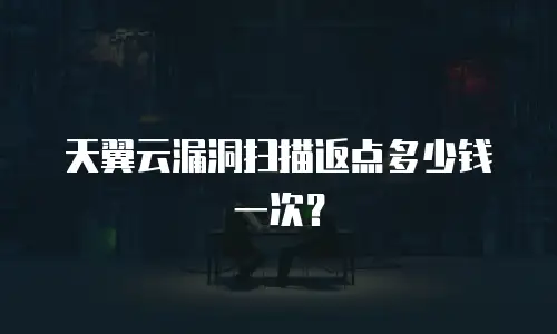 天翼云漏洞扫描返点多少钱一次？