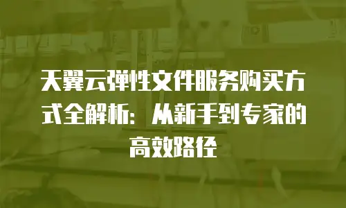 天翼云弹性文件服务购买方式全解析：从新手到专家的高效路径