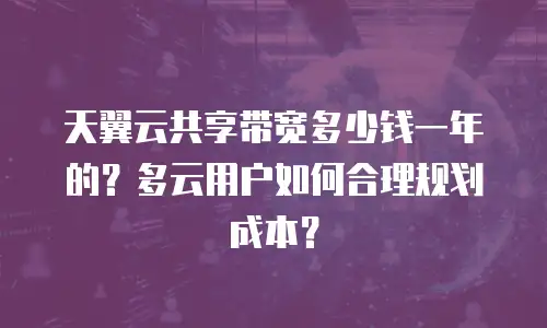 天翼云共享带宽多少钱一年的？多云用户如何合理规划成本？