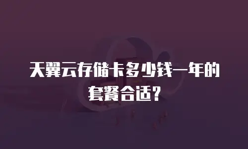 天翼云存储卡多少钱一年的套餐合适？