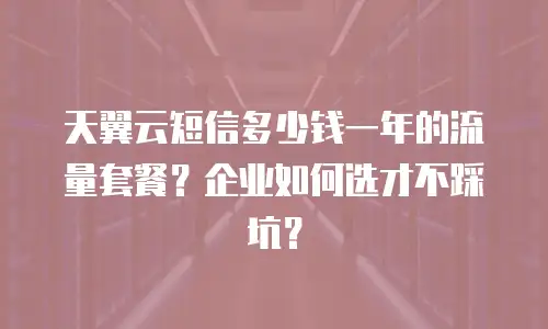 天翼云短信多少钱一年的流量套餐？企业如何选才不踩坑？