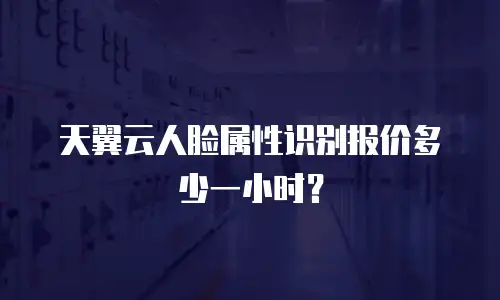 天翼云人脸属性识别报价多少一小时？