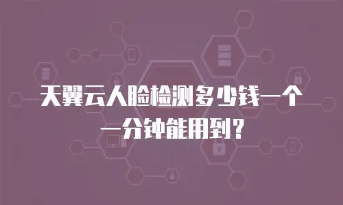 天翼云人脸检测多少钱一个一分钟能用到？
