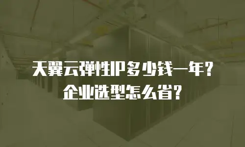 天翼云弹性IP多少钱一年？企业选型怎么省？