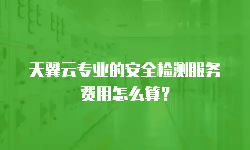 天翼云专业的安全检测服务费用怎么算？